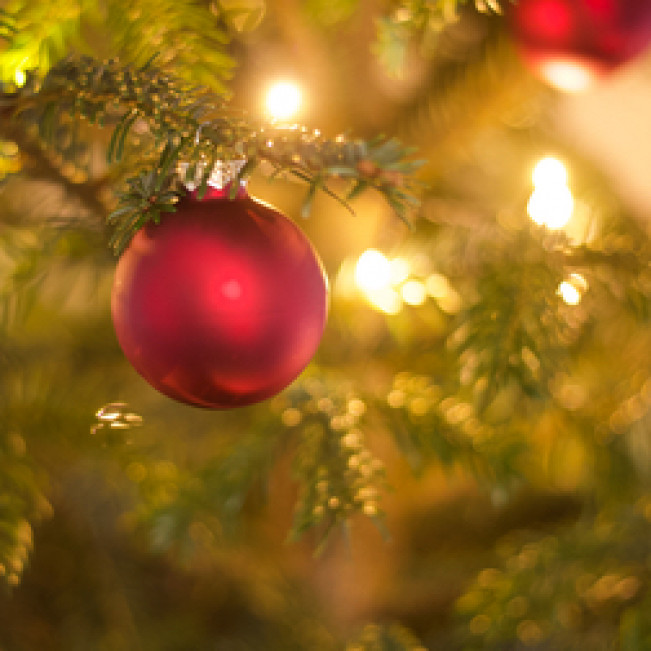 Weihnachtskonzert des PAMINA-Schulzentrums am 20.12.22