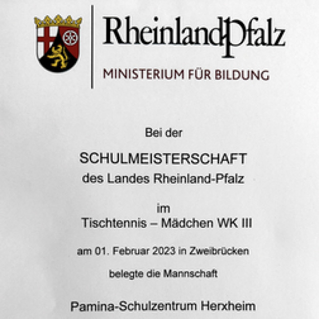 Mädchen und Jungen im Landesfinale Tischtennis