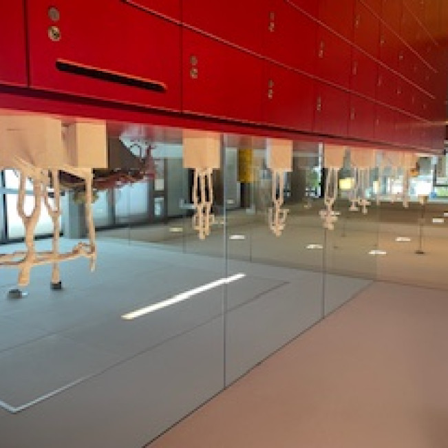 Ausstellung der Giacometti-Plastiken im Rathaus Herxheim
