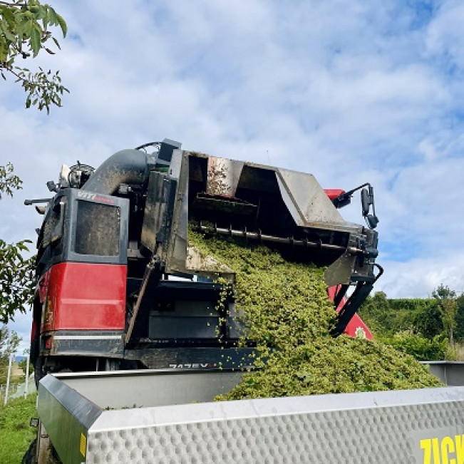 Die Pfalz hautnah erleben